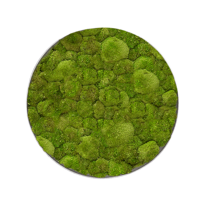 001 Spruitje Mos mirrors Bolmos Rond Warm natuurlijk grijs frame