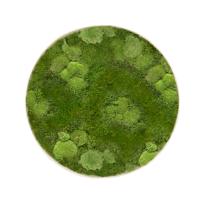 002 Spruitje Mos mirrors Platmosmix Rond Zacht creme frame