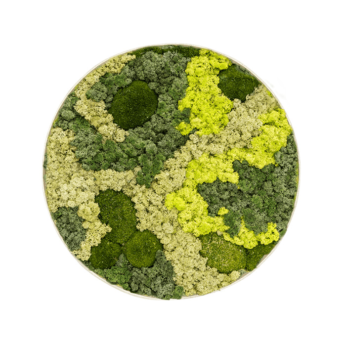 003 Spruitje Mos mirrors Rendiermix Rond Zacht creme frame