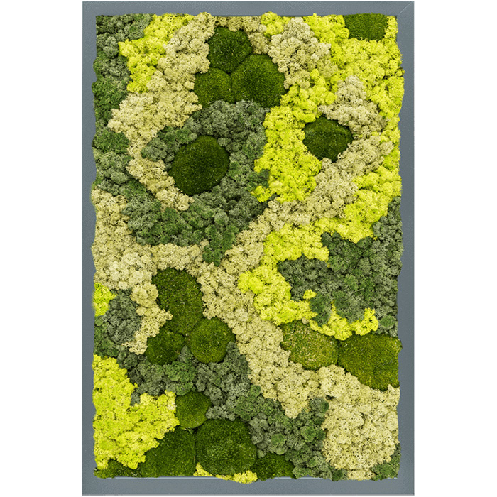 004 Spruitje Mos mirrors Rendiermix Rechthoekig Antracietgrijs frame