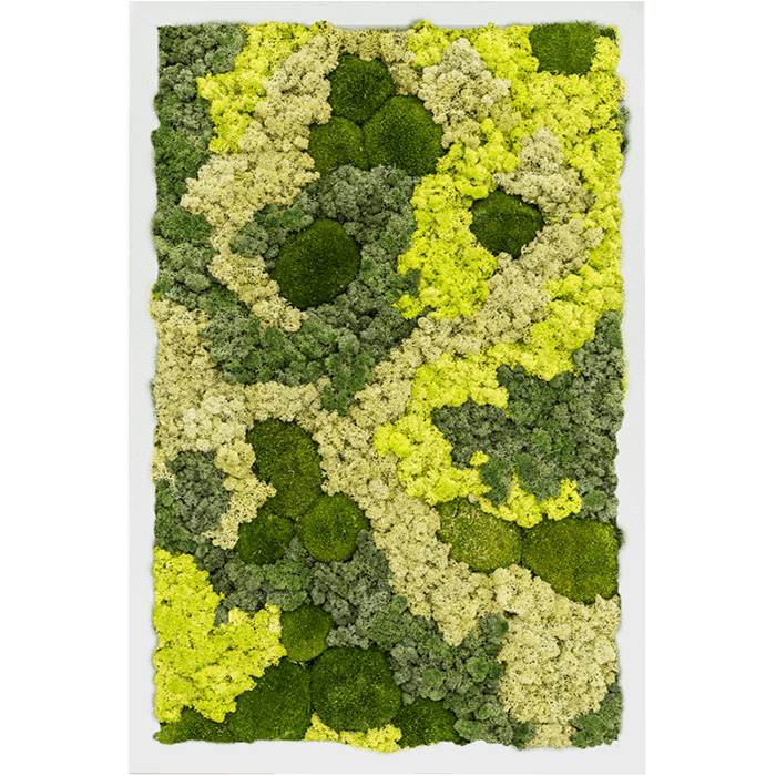 004 Spruitje Mos mirrors Rendiermix Rechthoekig Zuiver wit frame