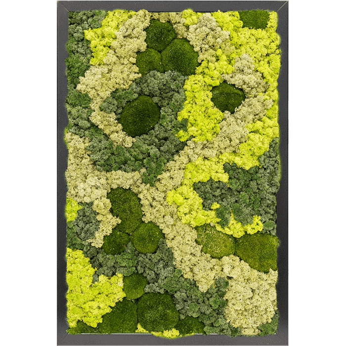 004 Spruitje Mos mirrors Rendiermix Rechthoekig Diep zwart frame
